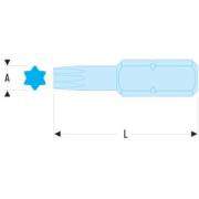 EX.125 - Końcówka standardowa do śrub TORX®, T25 