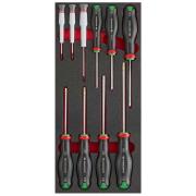 MODM.AT6 - PROT SD FOAM MODULE 10PCE STD