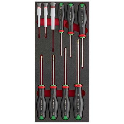 MODM.AT6 - PROT SD FOAM MODULE 10PCE STD