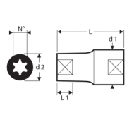E031929 - Nasadka 1/2" do śrub trzpieniowych Torx® E14