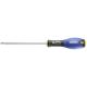 E165207 - Screwdriver for Phillips® screws, PH1