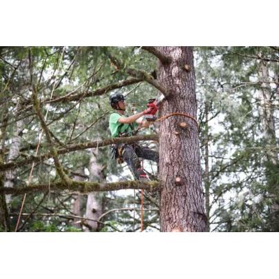 M18 FHS20-0 - Piła łańcuchowa do gałęzi, dł. prowadnicy 20 cm, 18 V, FUEL™ HATCHET™, bez wyposażenia