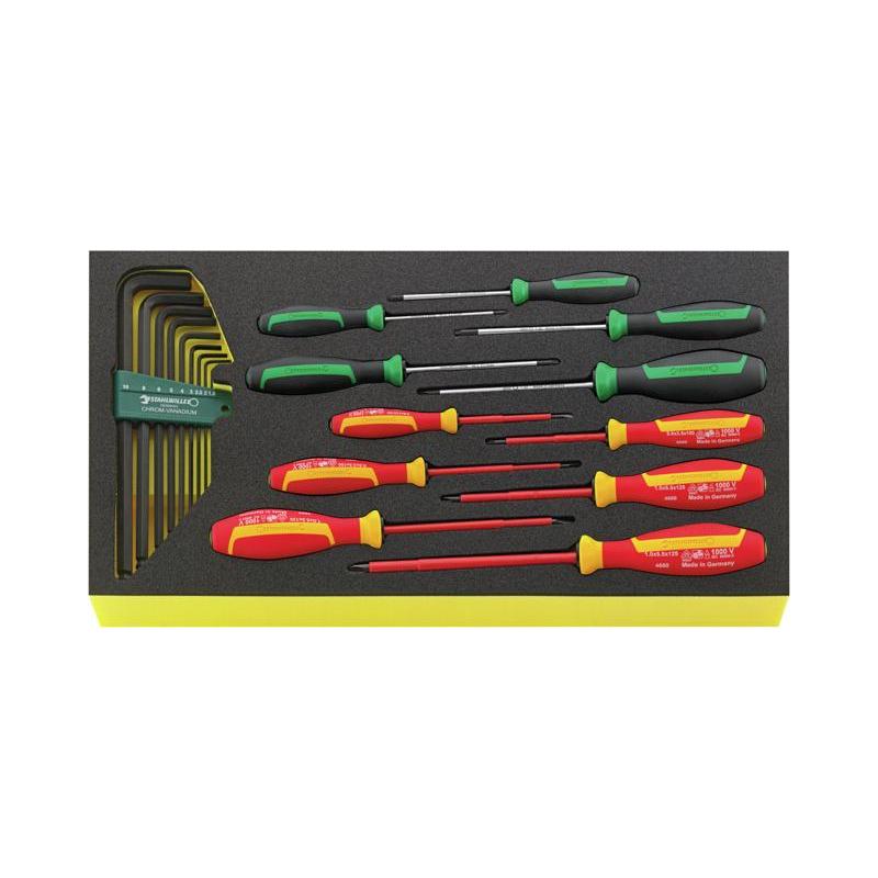 TCS WT 4650-4665-1 - Moduł wkrętaków i kluczy trzpieniowych do szuflad skrzyni narzędziowej nr 13217 (20 szt.), wkładka piankowa