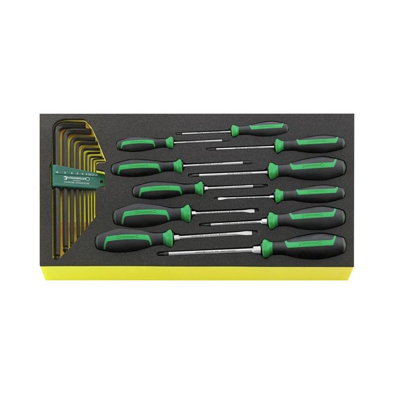 TCS WT 4622-4650 - Moduł wkrętaków i kluczy trzpieniowych do szuflad skrzyni narzędziowej nr 13217 (20 szt.), wkładka piankowa