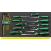 TCS WT 4622-4650 - Moduł wkrętaków i kluczy trzpieniowych do szuflad skrzyni narzędziowej nr 13217 (20 szt.), wkładka piankowa