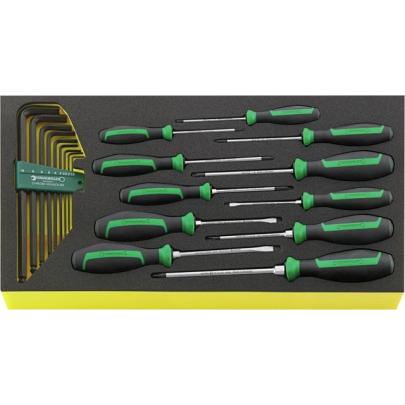 TCS WT 4622-4650 - Moduł wkrętaków i kluczy trzpieniowych do szuflad skrzyni narzędziowej nr 13217 (20 szt.), wkładka piankowa