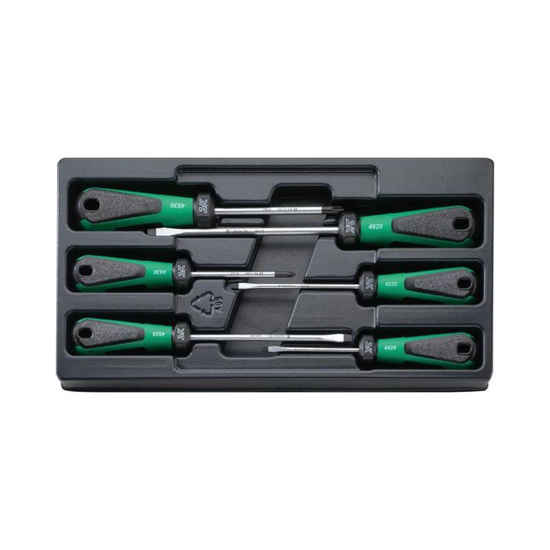 4891 - Moduł wkrętaków do śrub z rowkiem i Phillips, 3,5 - 6,5 mm, PH1 - PH2 (6 szt.), wkładka plastikowa