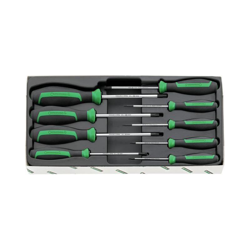 4699/9 - Moduł wkrętaków do śrub TORX® TAMPER RESISTANT, T8 - T40 (9 szt.), wkładka plastikowa