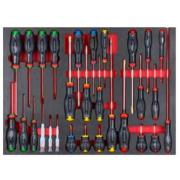 MODM.A456BNL - Moduł 29 wkrętaków Protwist® do śrub z rowkiem, Phillips, Pozidriv i Resistorx, wkładka piankowa