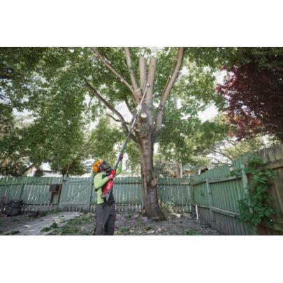 M18 FTPS30-0 - Podkrzesywarka z teleskopowym wysięgnikiem 30 cm, 18 V, FUEL™, bez wyposażenia