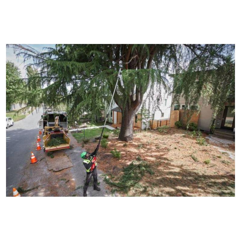 M18 FTPS30-121 - Podkrzesywarka z teleskopowym wysięgnikiem 30 cm, 18 V, 12.0 Ah, FUEL™, z akumulatorem i ładowarką