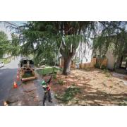 M18 FTPS30-121 - Podkrzesywarka z teleskopowym wysięgnikiem 30 cm, 18 V, 12.0 Ah, FUEL™, z akumulatorem i ładowarką