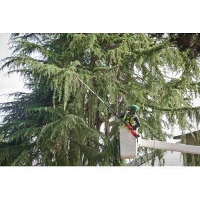 M18 FTPS30-121 - Podkrzesywarka z teleskopowym wysięgnikiem 30 cm, 18 V, 12.0 Ah, FUEL™, z akumulatorem i ładowarką