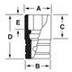 FSS161 - Nasadka 3/8" 6-kątna, Semi-Deep, calowa, 1/2"