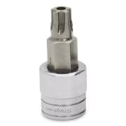 FTXR55TPE - Nasadka trzpieniowa 3/8" do śrub Torx Plus® Tamper Resistant z otworem, IPR55