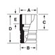 SES161B - Nasadka krótka 1/2" spline 16, 1/2"