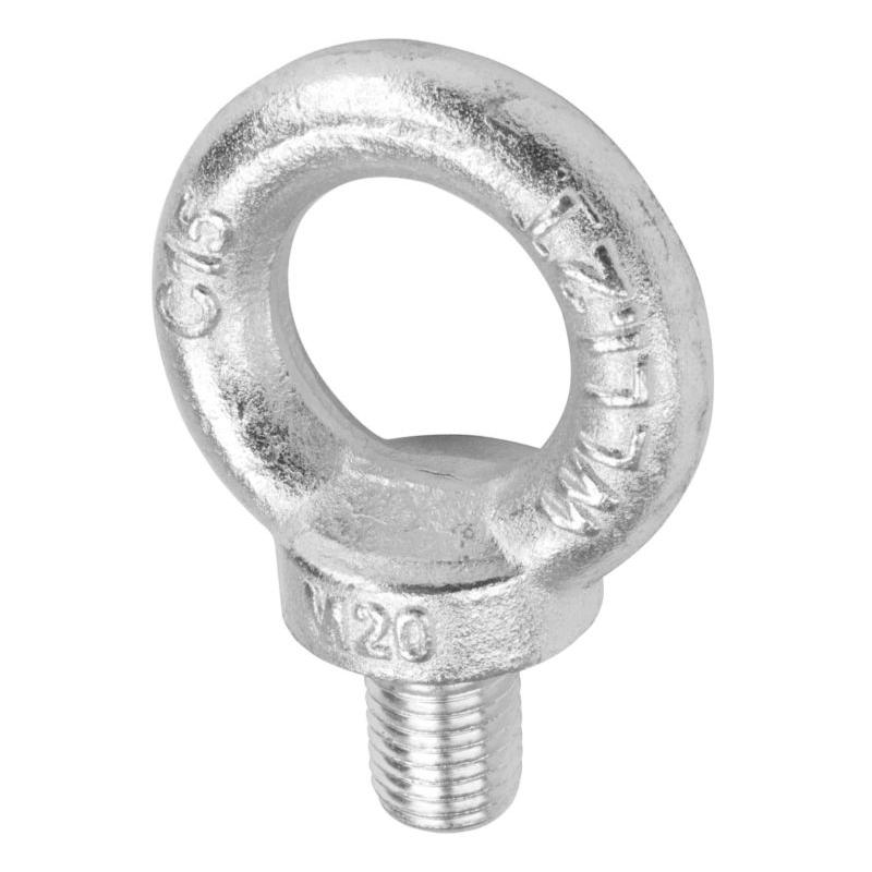 03906120 - Śruba z uchem, 1200 kg, M20