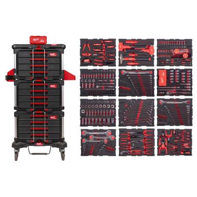 4932501863 - PACKOUT™ Tool set for master mechanics (382 pcs.)