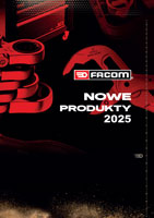 pobierz plik w formacie pdf