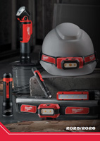 pobierz plik w formacie pdf