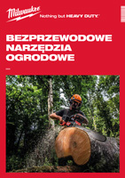 pobierz plik w formacie pdf